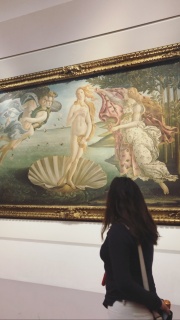 birth of venus in florence